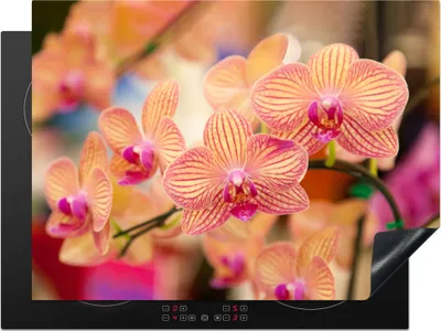 Produktbild von KitchenYeah© Herdabdeckplatte Pflanze - Orchidee - Blumen - Rosa - Flora , 71x52cm, Küche Deko, Glaskeramikkochfeld Herdabdeckung, Abdeckplatte fùr Kochfeld
