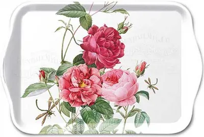 Produktbild von Tablett Melamin 21x13cm mit Rosen Motiv Weiß / Rot