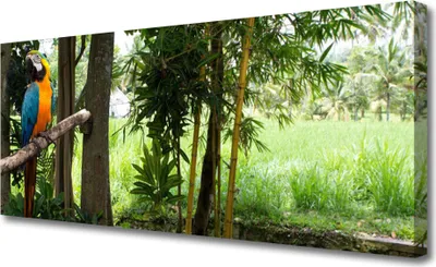 Produktbild von Tulup Leinwand-Bilder 125x50 Wandbild Canvas Kunstdruck Papagei Bäume Natur