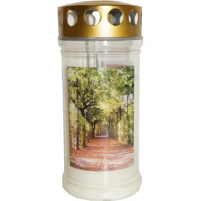Produktbild von Gedenkkerze "Baum-Allee" 170 x 75 mm 4 Tage