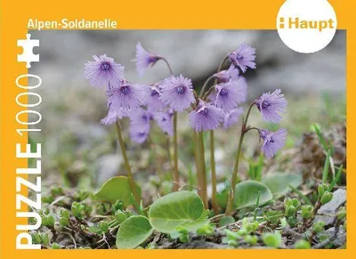 Produktbild von Alpen-Soldanelle - Puzzle. 1000 Teile