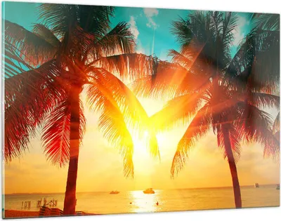 Produktbild von Bilder auf glas - Meer Palme Wasser - 120x80cm - Glasbilder - Wandbilder - Kunstdruck - zum Aufhängen bereit - Wanddekoration aus Glas - Glas Bilder - Wandbild auf Glas - Einteilig - GAA120x80-4018