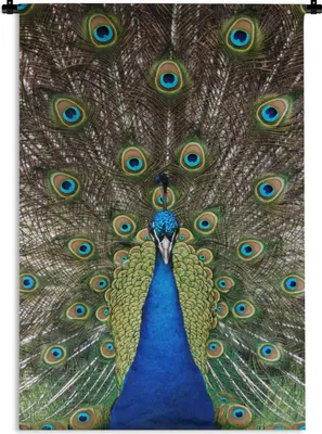 Produktbild von MuchoWow® Wandteppich Wandbehang Pfau - Farben - Federn 90x135 cm Tapisserie Dekoration Wandtuch - Baumwolle - Wandskulptur
