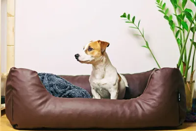 Hundebett 'BUNNY BUSINESS', Größe S (61 Cm) - Superweiches Kunstwildleder, Dunkelbraun