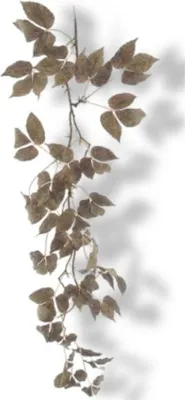 Produktbild von Warentuin Producten