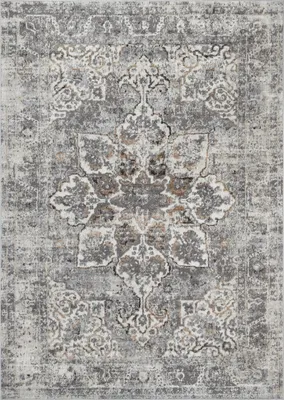 A close-up view of a rug with a distressed, vintage-inspired pattern.