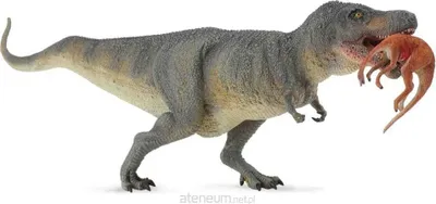 Obrázok produktu pre Dinosaurus Tyrannosaurus Rex s korisťou