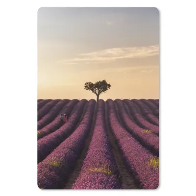 Produktbild von MuchoWow® Mauspad Mousepad Lavendelfeld - Baum - Sonnenuntergang 40x60 cm - Mousepads - Maus Mat - Pad - Mausunterlage - Schreibtisch Accesoire