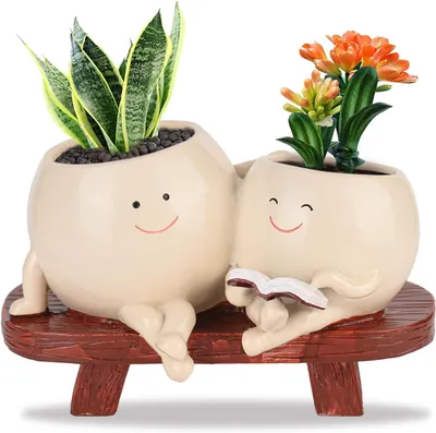 Productafbeelding van Bloempot met Smiley Groot Schaukel Gezicht Plantenpot Grappige Bloempotten voor Binnen Schaukel Bloempot met Afvoergat 2 Potten met Succulenten Kweken