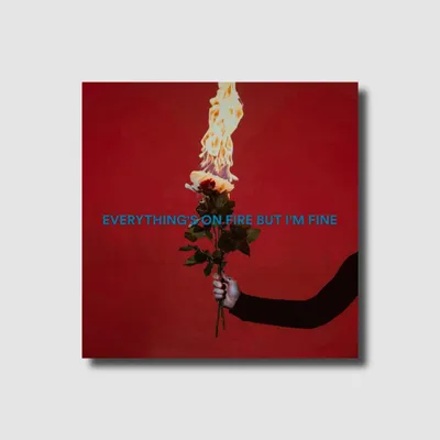 Produktbild von Everything's On Fire But I'm Fine