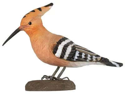 Produktbild von Wildlife Garden DecoBird Wiedehopf handgeschnitzt