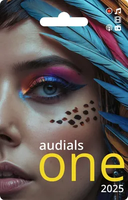 Produktbild von Audials One 2025 / 1-PC / Dauerlizenz / Karte mit Produktkey (PKC)
