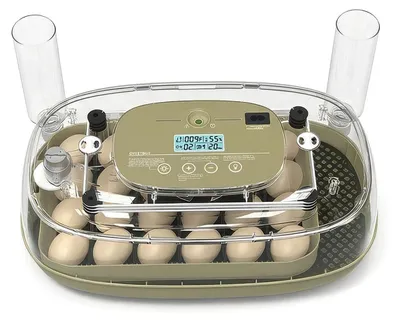 Produktbild von Brutautomat vollautomatisch 24 Eier – Automatische Wende & Klimaregelung | 360° Sicht für Hühner Enten