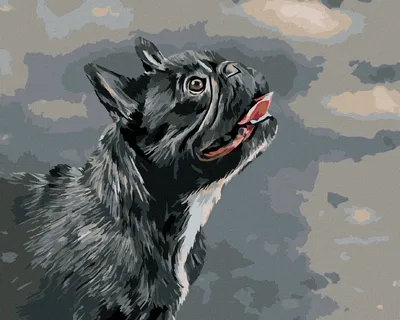 Obrázok produktu pre Zuty - Maľovanie podľa čísel - DÍVAJÚCI SA FRANCÚZSKY BULDOČEK, 40x50 cm, bez rámu a bez vypnutia plátna