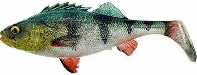Obrázek produktu pro Savage Gear 4D Perch Shad Green Silver 12,5 cm 20 g Gumová nástraha