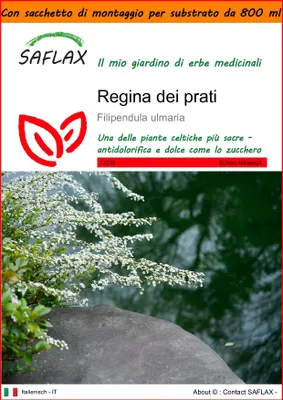 Immagine prodotto di SAFLAX Garden in the bag - Regina dei prati - 500 semi - Filipendula