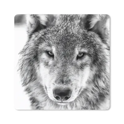 Produktbild von MuchoWow® Mauspad Mousepad Tierprofil Wolf in schwarz und weiß 20x20 cm - Mousepads - Maus Mat - Pad - Mausunterlage - Desk Mat - Bureauartikeln