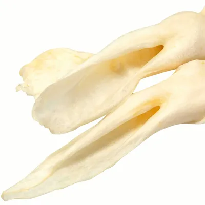 Produktbild von 100 g - Kausnack Gepuffte Kaninchenohren - locker-leicht und recht weich