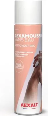 Image de Nettoyant main sec AEXALT AEXAMOUSSE sans eau - Aerosol 210 ml - MS614
