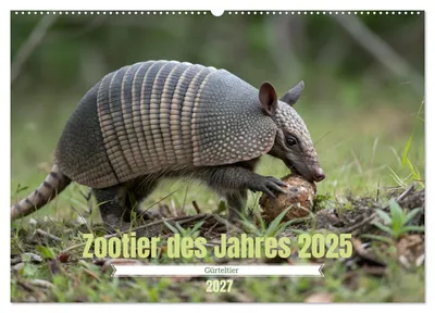 Produktbild von Zootier des Jahres 2025 - Gürteltier (Wandkalender 2027 DIN A2 quer), CALVENDO Monatskalender