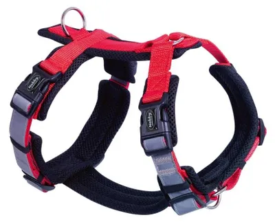 Obrázok produktu pre Postroj Daily Walk Comfort, červený, veľkosť M