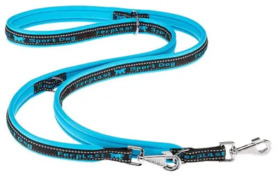 Productafbeelding van FERPLAST SPORT Hondenlijn GA25 200, blauw