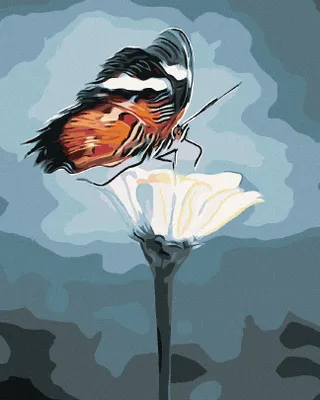 Produktbild von Zuty - Malen nach Zahlen - SCHMETTERLING AUF EINER BLUME, 40x50 cm, ohne Keilrahmen