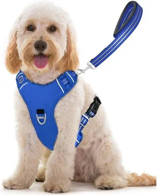 Produktbild von Famanu Hundegeschirr Verstellbar - Reflektierendes und gepolstertes Einsteigsharnisch mit Handgriff und passender Leine - Größe M