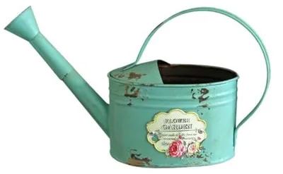 Image de Arrosoir vintage en métal de couleur vert menthe