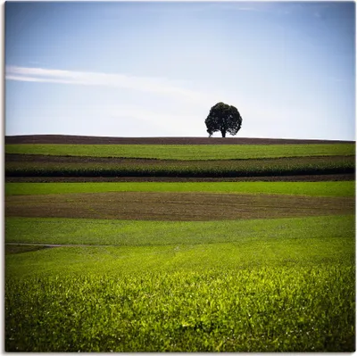 Produktbild von ARTland Leinwandbild Der Baum Größe: 30x30 cm