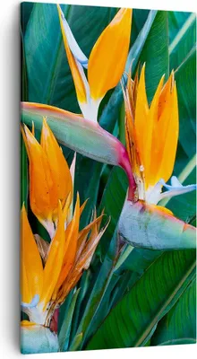 Produktbild von Bild auf Leinwand - Leinwandbild - Einteilig - Himmlisch Vogel Blume - 45x80cm - Wand Bild - Wanddeko - Wandbilder - Leinwanddruck - Bilder - Wanddekoration - Leinwand bilder - Wandbild - PA45x80-4980