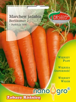 Produktbild von Karottensamen Berlikumer 2 - Torseed