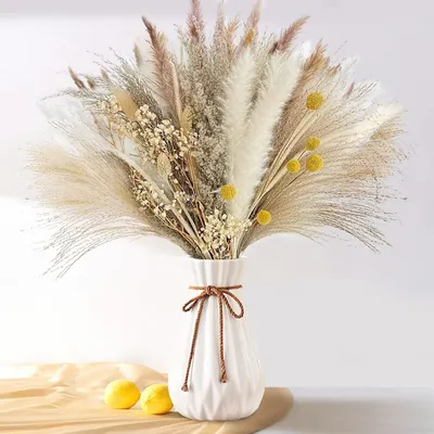 73 getrocknete Pampasgräser, 40–44 cm, Trockenblumen-Deko