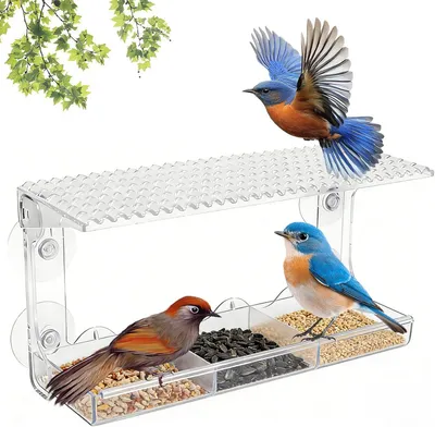 Imagen del producto de Comedero transparente para pájaros, con ventosas, ideal para ventanas, estación de alimentación para aves