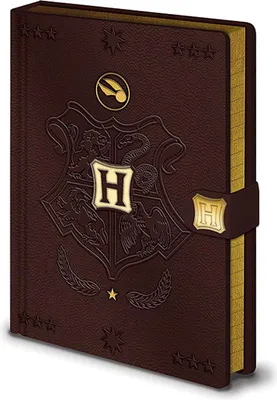 Image de Cahier A5 premium Harry Potter Boucle d'or