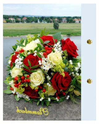 Produktbild von Stammbuch Elbe, hellblau, hochwertiger Bilderdruck, matt, Strauß am Fluß, Format A5+