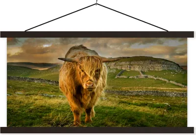 Produktbild von MuchoWow® Textilposter Schottisches Hochlandrind - Gras - Berg 90x45 cm mit schwarzem Rahmen - Klemmleisten