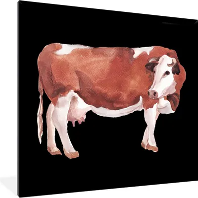 Produktbild von MuchoWow® MuchoWow® Gerahmtes Poster Kuh - Braun - Weiß 40x40 cm - Poster mit zchwarzem Bilderrahmen - Mit Rahmen - Wanddekoration Schlafzimmer