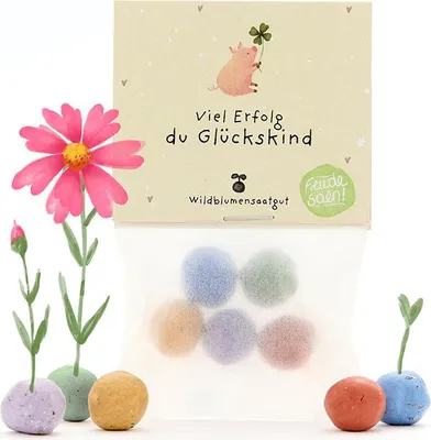 Produktbild von 5 Blumenmurmeln im Tütchen Viel Glück Bunte Saatkugeln mit Wildblumensamen