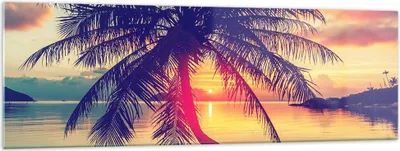 Produktbild von Bilder auf glas - Meer Strand Palme - 160x50cm - Glasbilder - Wandbilder - Kunstdruck - zum Aufhängen bereit - Wanddekoration aus Glas - Glas Bilder - Wandbild auf Glas - Einteilig - GAB160x50-3925