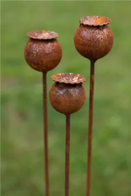 Produktbild von 3er Set Gartenstecker Mohn Mohnkapsel Metall Rost Gartendeko Edelrost Rankstab Beetstecker Topfstecker Naturrost