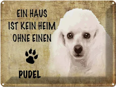 Produktbild von vianmo Blechschild 30x40 cm Pudel Hund