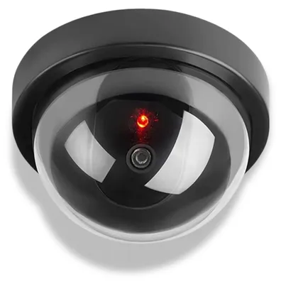 Productafbeelding van Dummy koepelcamera met knipperende LED – Ø 12 cm, eenvoudig te installeren