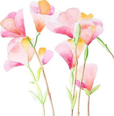 Produktbild von Servietten 33x33 cm - Godesias