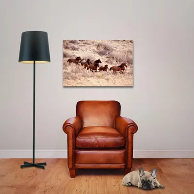 Immagine prodotto di Cavalli - Poster - Mustang + 1 poster di dimensioni 61x91,5 cm