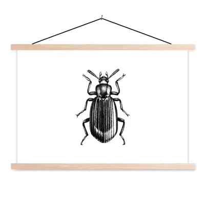 Produktbild von MuchoWow® Textilposter Käfer - Tiere - Vintage 120x80 cm mit holzfarbenen Rahmen - Aufhängeset
