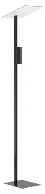 Image de Eglo (99113) BUDENSEA E300991138G LED GU10 2x5W černá kov