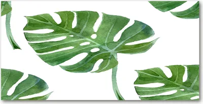 Produktbild von Tulup Glas-Bild -140x70- Wandkunst Dekorative Wand für Küche & Wohnzimmer - Blumen & Pflanzen - Monstera - Grün