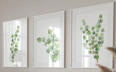 Productafbeelding van Unyqoos® Set van 3 botanische posters met eucalyptusmotieven, groen, 300 g/m² satijnkarton, ongeramd – wanddecoratie voor woon- en slaapkamer