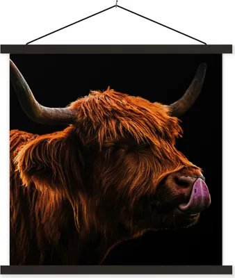 Produktbild von MuchoWow® Textilposter Schottisches Hochlandrind - Zunge - Nase 40x40 cm mit schwarzem Rahmen - Fotos